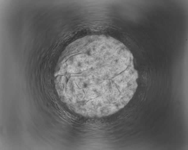 X0000085080817200703261255