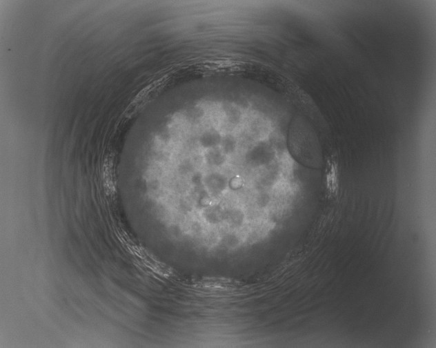 X0000085080819200703261255