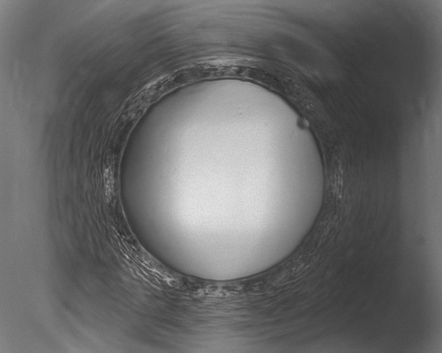 X0000085080821200703261255