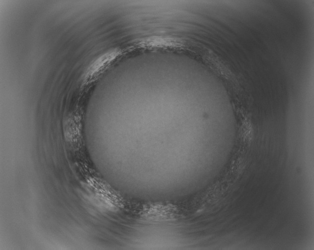 X0000085080824200703261256