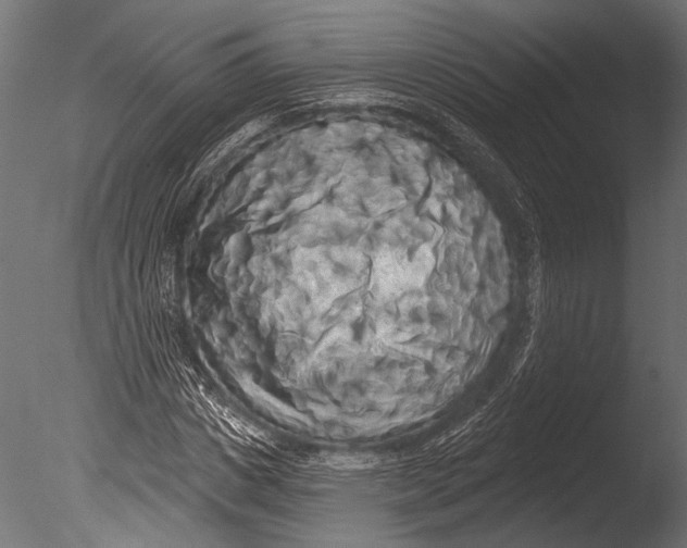 X0000085080825200703261256