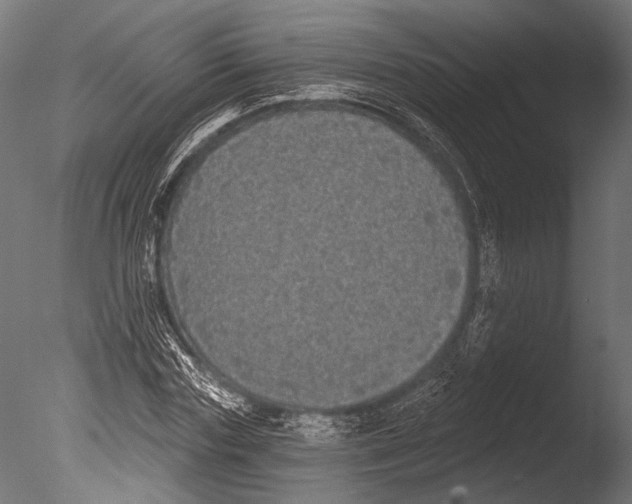 X0000085080827200703261256