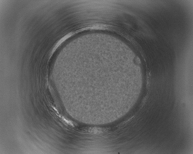 X0000085080829200703261256