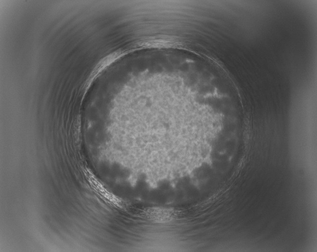 X0000085080831200703261256