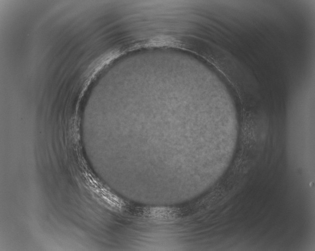 X0000085080832200703261256