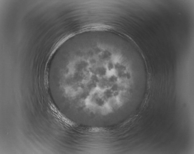 X0000085080835200703261256