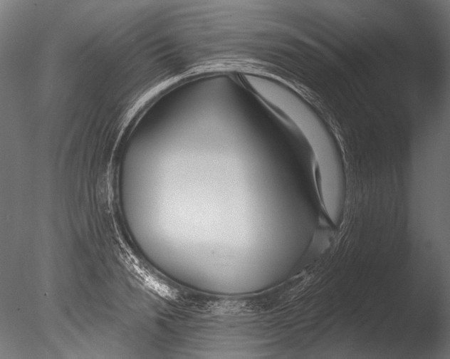 X0000085080846200703261256