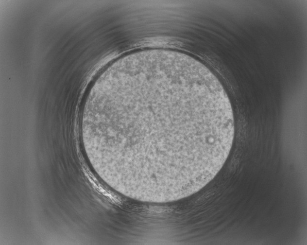 X0000085080848200703261256