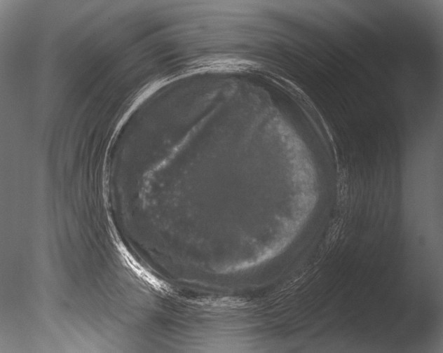 X0000085080851200703261256