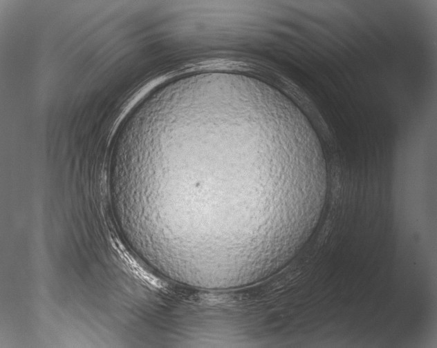 X0000085080852200703261256