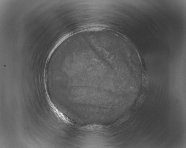 X0000085080859200703261256