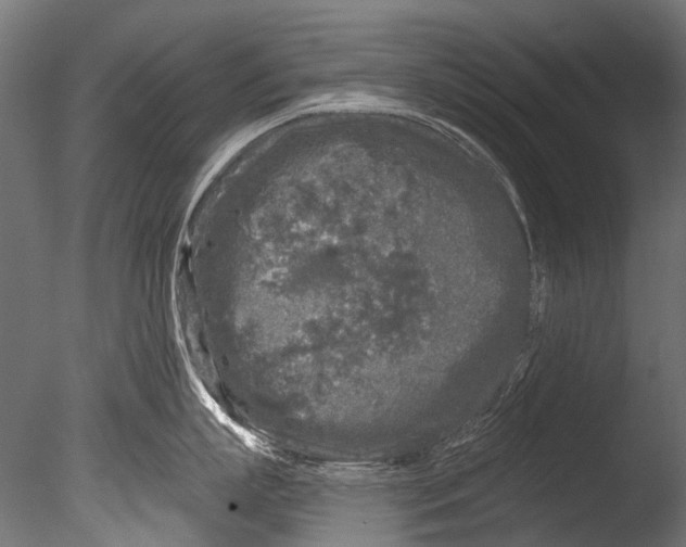 X0000085080863200703261256