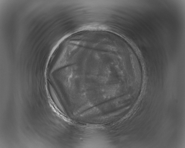 X0000085080864200703261256