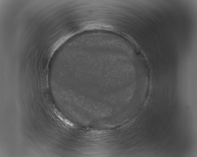 X0000085080877200703261255