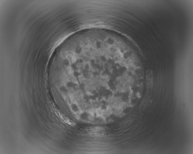 X0000085080879200703261255