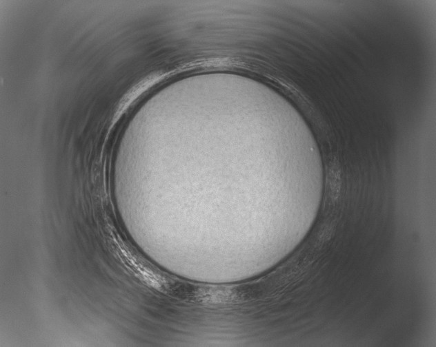 X0000085080886200703261255