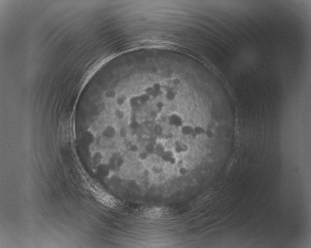 X0000085080891200703261255