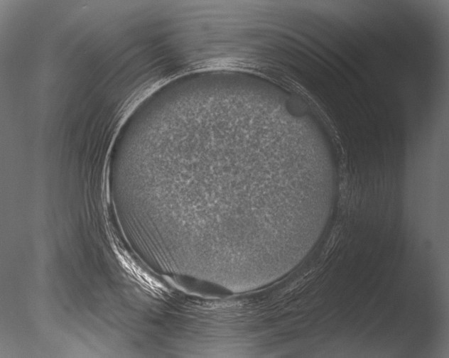 X0000085080892200703261255