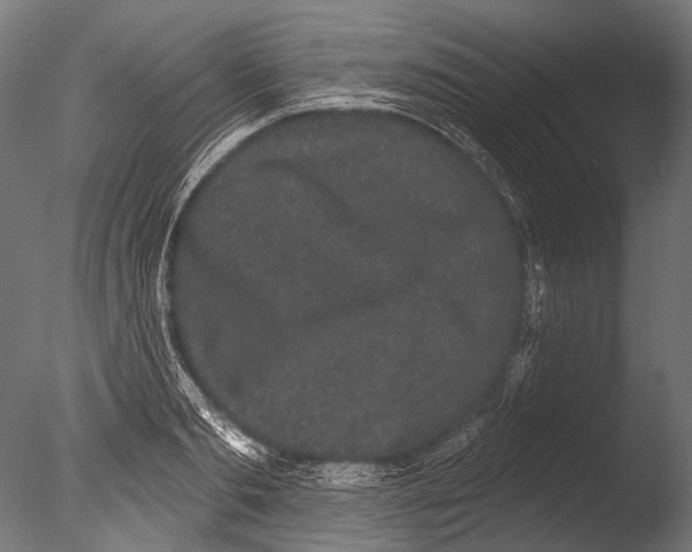 X0000085080893200703261255