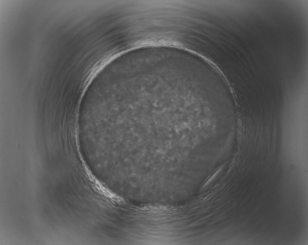 X0000085080895200703261255