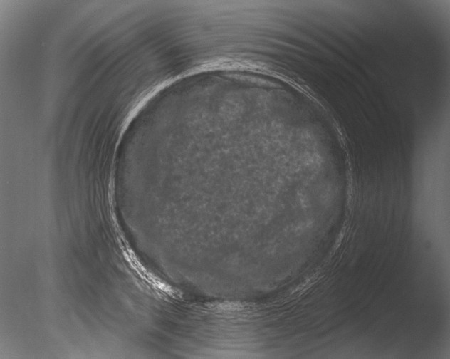 X0000085080896200703261255