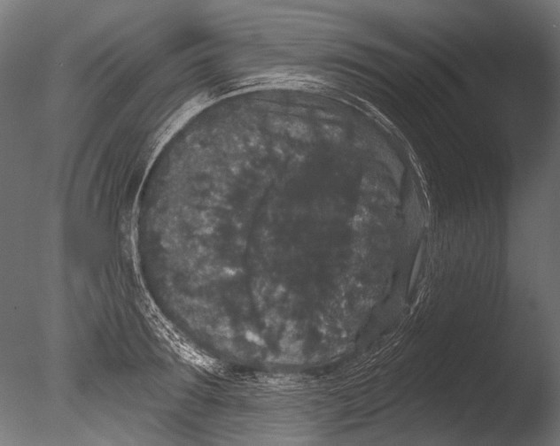 X0000085080899200703261255