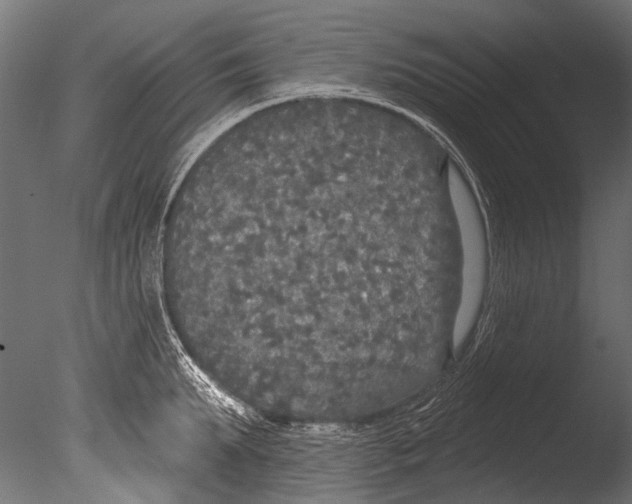 X0000085080903200703261255