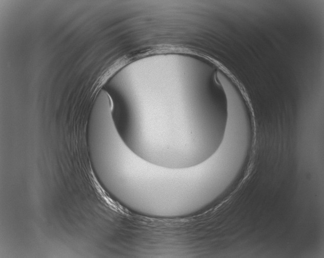 X0000085080905200703261255