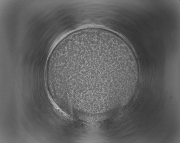 X0000085080911200703261255