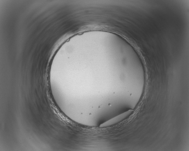 X0000085080912200703261255