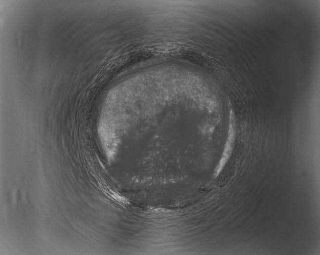 X0000085080913200703261254