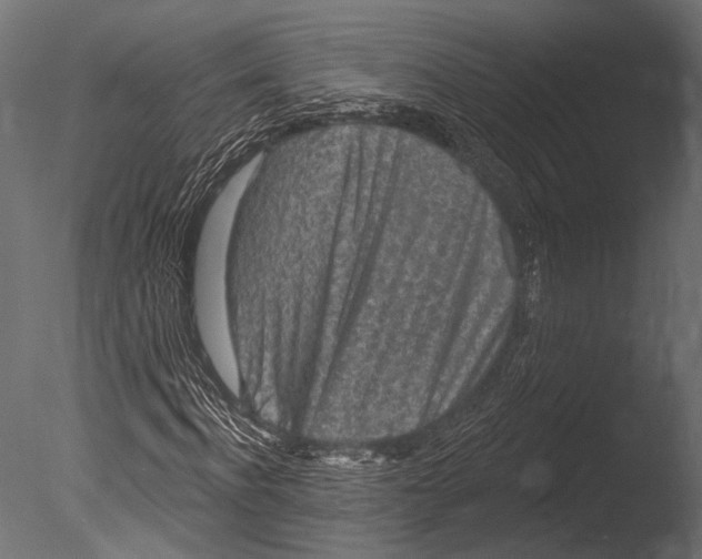 X0000085080916200703261254