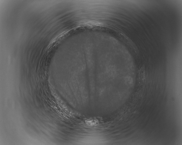 X0000085080919200703261254