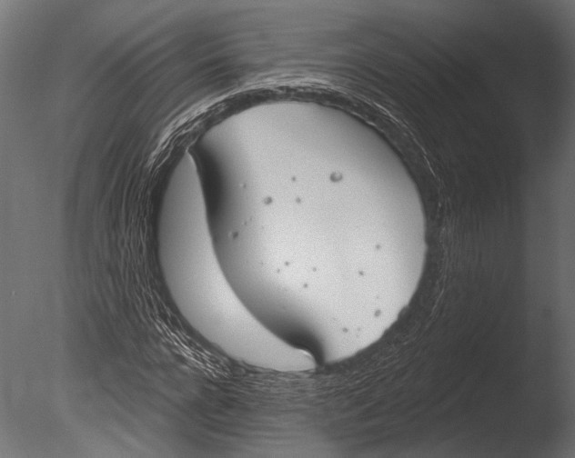 X0000085080920200703261254