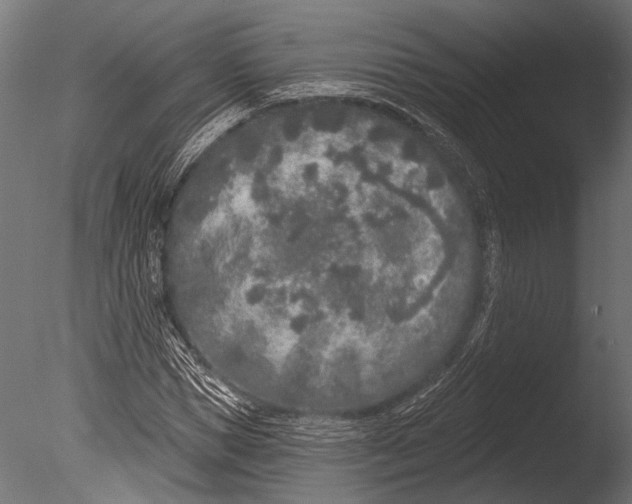 X0000085080921200703261254