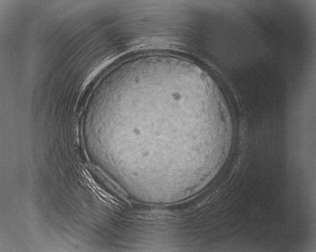 X0000085080925200703261254