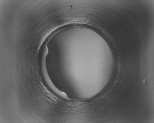 X0000085080926200703261254