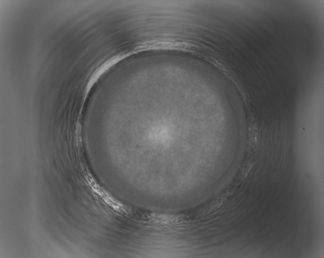 X0000085080928200703261254