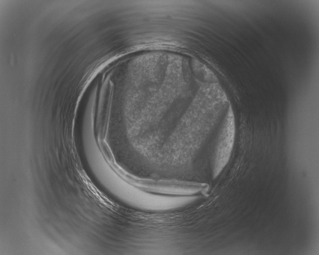 X0000085080932200703261254