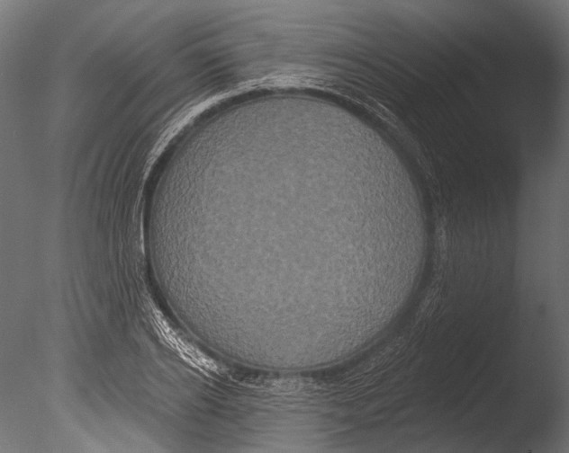 X0000085080934200703261254