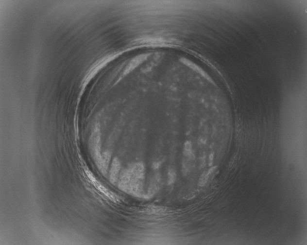 X0000085080935200703261254