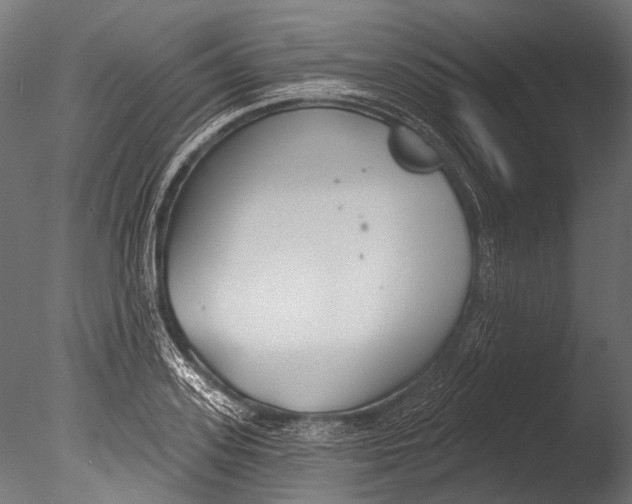 X0000085080939200703261254