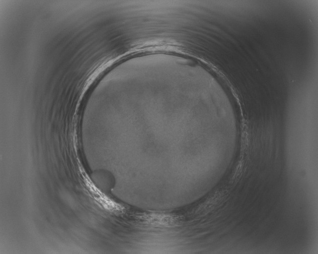 X0000085080941200703261254