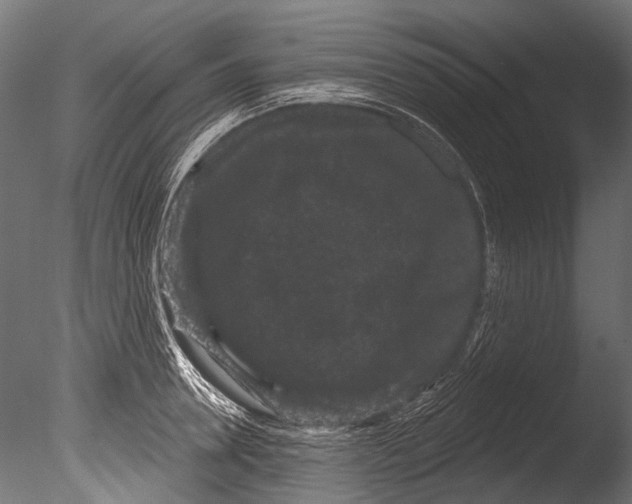 X0000085080946200703261254