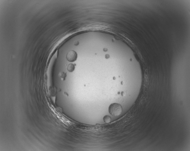 X0000085080948200703261254