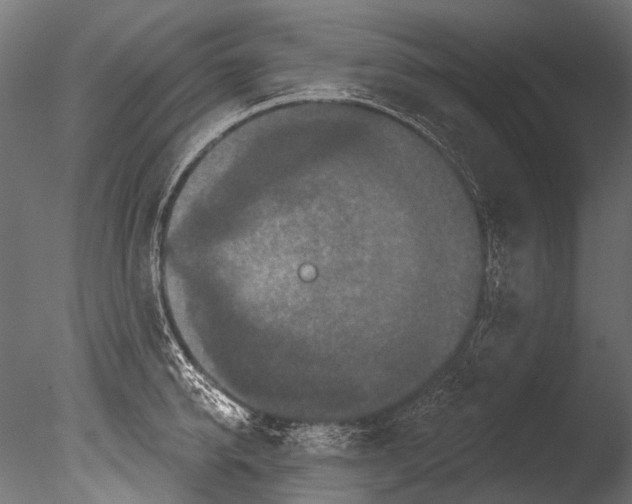 X0000085080950200703261254