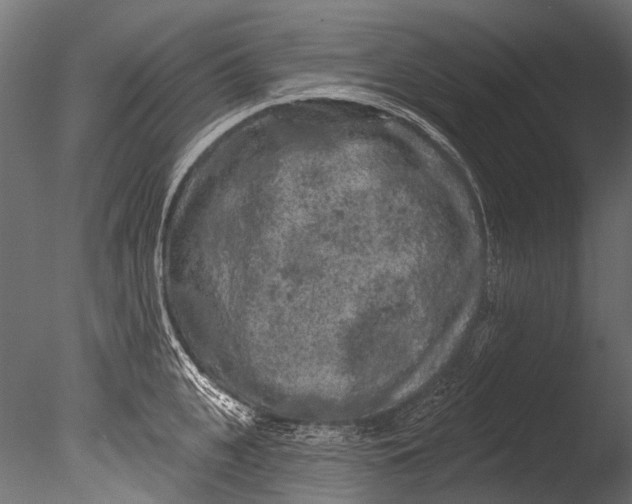 X0000085080951200703261254