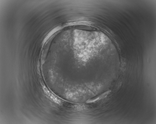 X0000085080952200703261254