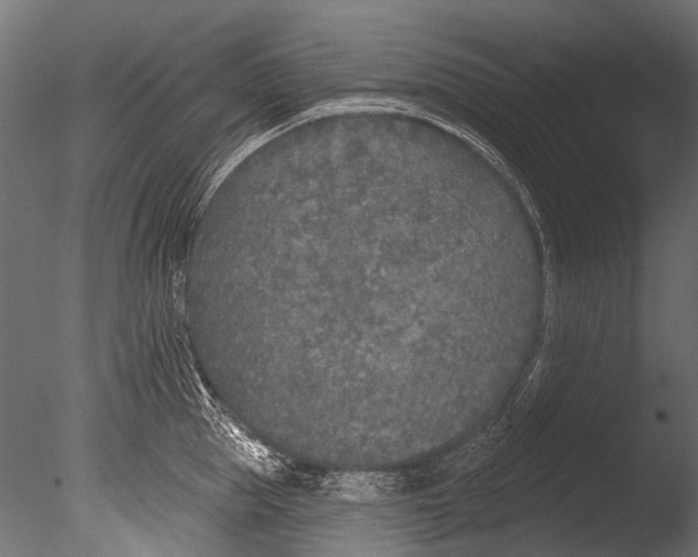 X0000085080953200703261254