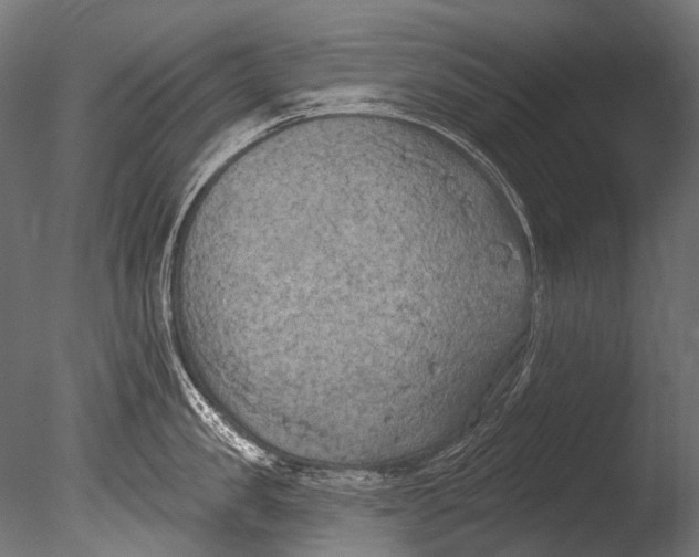 X0000085080957200703261254